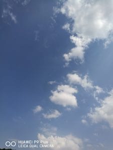 劳动节劳动中-2
