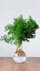 人间木有真-1 人间木有真-1