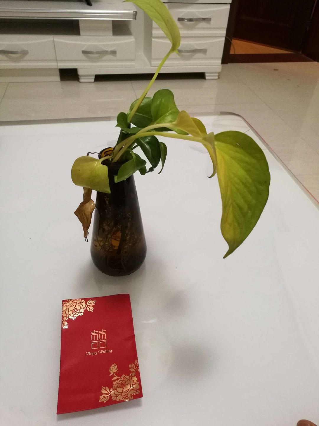 二周年了-1