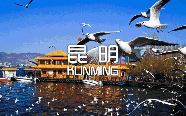 昆明空城记 武汉，昆明等你！-1